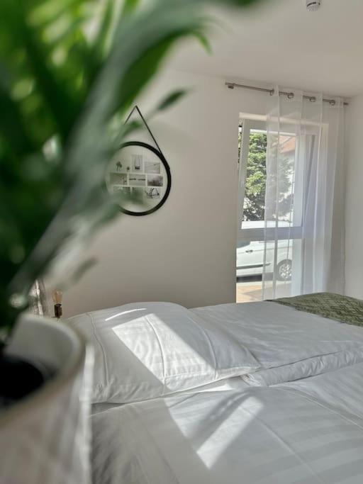 Amao-Pearl I Comfort Suite I 94Qm I Kingsize-Bett I Exklusiv Mit Balkon & Tiefgarage I Aufzug Offenburg Exteriör bild
